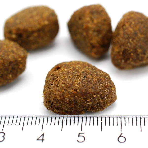 Bellfor Hundefutter - Wildbach-Schmaus Trockenfutter Pelletansicht