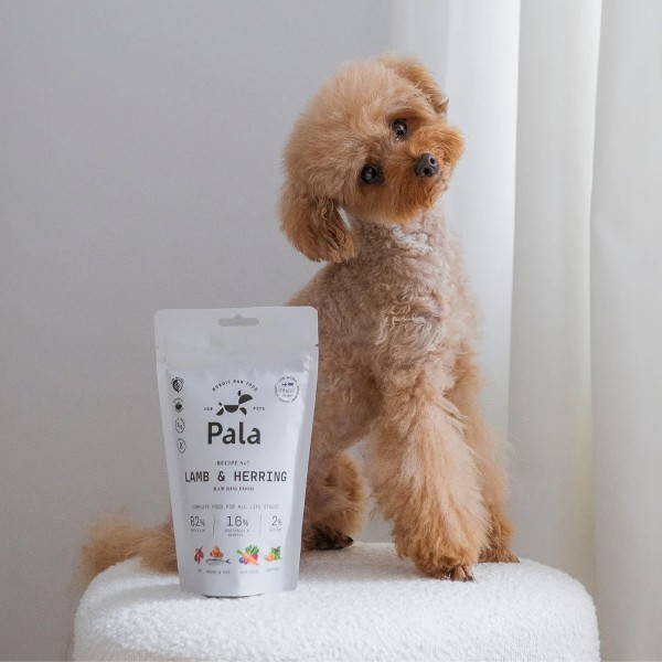 Pala No.7 Lamm & Hering Trockenbarf Hundefutter und Hund (Bild 2)