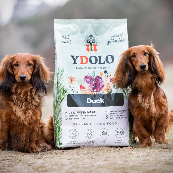 YDOLO Ente - natürliches Trockenfutter als Hundefutter
