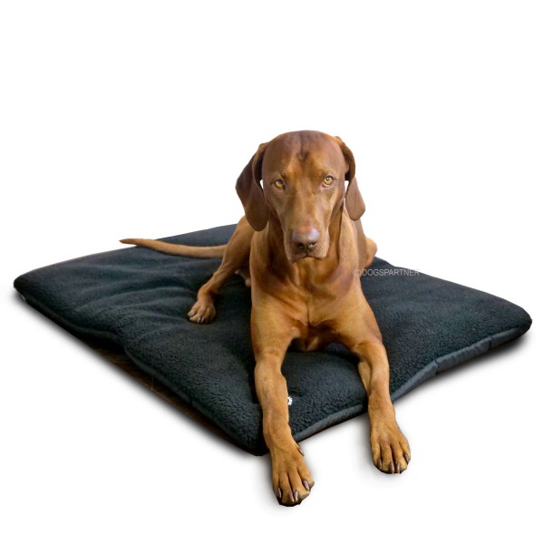 Farmland Hundebett Pro Thermo schwarz