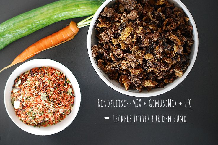 Trockenbarf Zutaten wie trockenes Fleisch und Gemüse