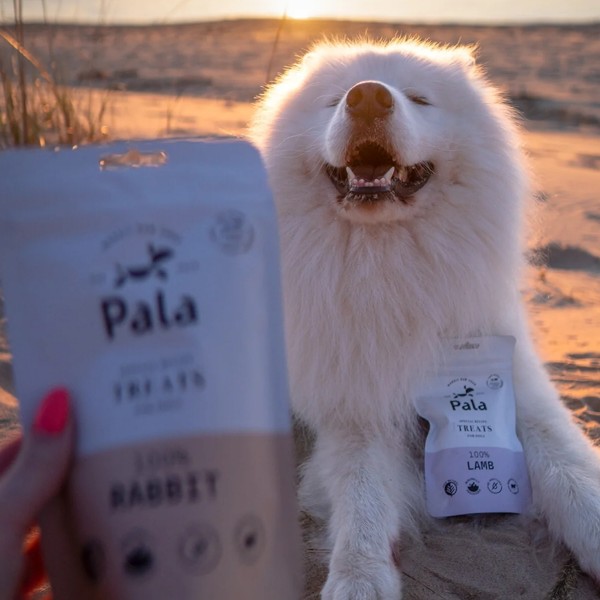 Pala Treats 100% Rabbit / Kaninchen - Hund neben 100g Packung (Bild 3)