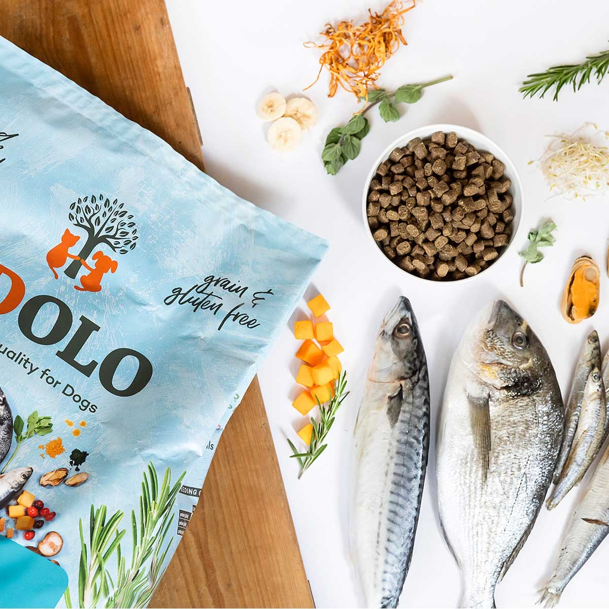 YDOLO Hundefutter Wild-Fisch - bestes Trockenfutter fr den Hund